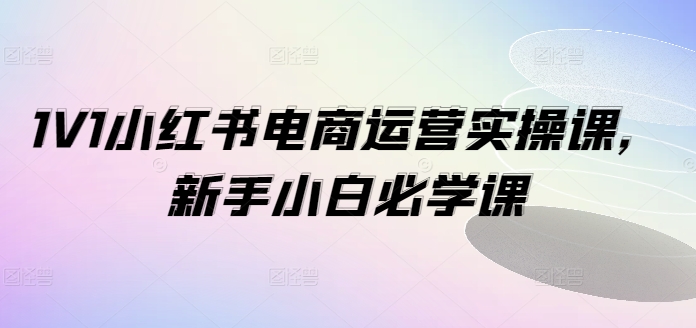 1V1小红书电商运营实操课，新手小白必学课-Zv头条