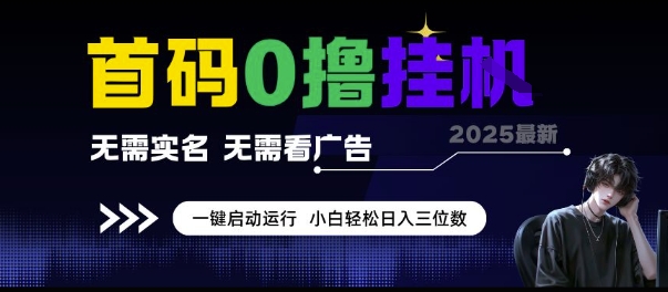 首码0撸挂G项目，无需实名无需看广告 一键启动运行，小白轻松日入三位数【揭秘】-Zv头条