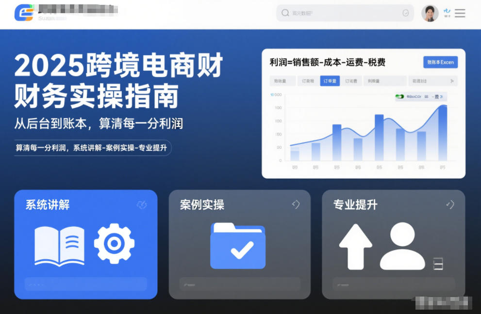 2025跨境电商财务实操指南，从后台到账本，算清每一分利润，系统讲解-案例实操-专业提升-站长V课
