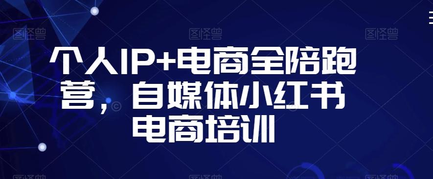 个人IP+电商全陪跑营，自媒体小红书电商培训-Zv头条