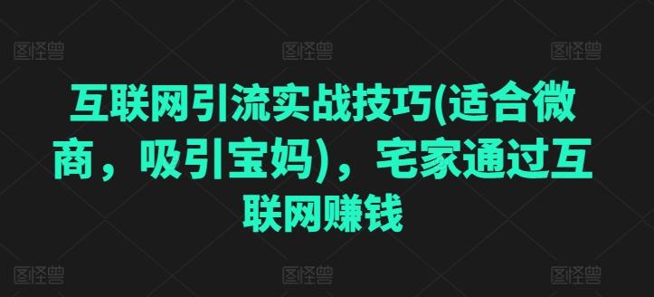 互联网引流实战技巧(适合微商，吸引宝妈)，宅家通过互联网赚钱-Zv头条