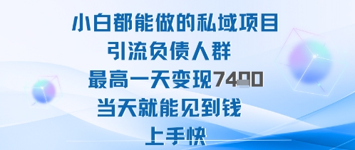 2025年小白都能做的私域项目引流负债人群最高一天变现1k+高变现难度低当天就能见到钱上手快-站长V课