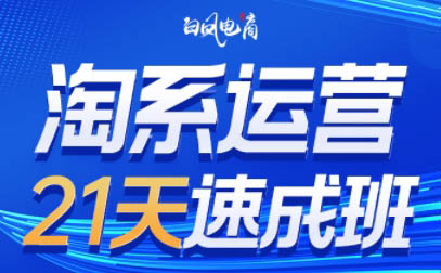 白凤电商·淘系运营21天速成班(更新9月)-站长V课