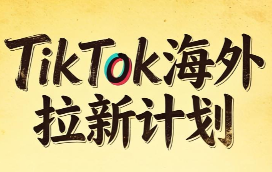 Tc联盟·TikTok海外拉新项目(更新9月)-站长V课