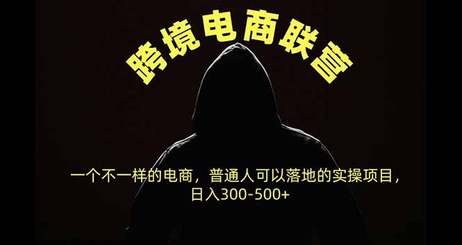 跨境电商联营，一个不一样的电商，普通人可操作日入300-500+-站长V课