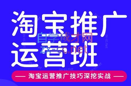 美迪电商·淘宝高级运营班+推广运营班(更新9月)-站长V课