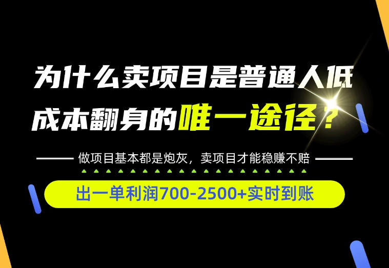 普通人如何靠互联网賺取自己的第一桶金!全类目实操型教学,看完你全都懂了!【揭秘】-站长V课