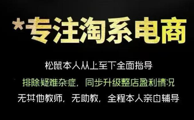 松鼠会电商VIP课程,从基础布局到高阶优化,助你掌握淘宝运营逻辑,提升店铺流量与转化(更新1015)-站长V课