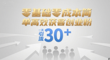零基础零成本简单高效获客创业粉，一天引流30+-Zv头条