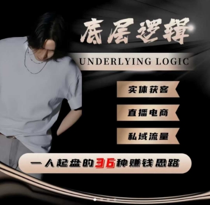 一个人起盘的底层逻辑,私域流量-直播电商-实体获客,一人起盘的36种賺钱思路-站长V课