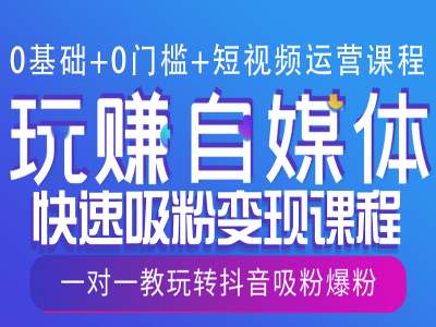 0基础+0门槛+短视频运营课程，玩赚自媒体快速吸粉变现课程，一对一教玩转抖音吸粉爆粉-Zv头条