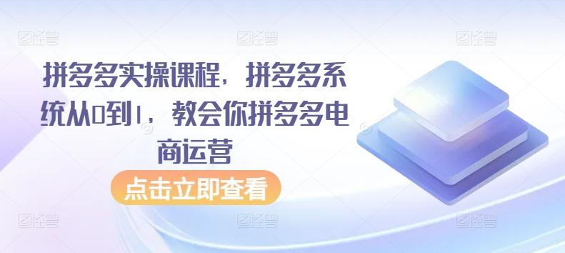 拼多多实操课程，拼多多系统从0到1，教会你拼多多电商运营-Zv头条