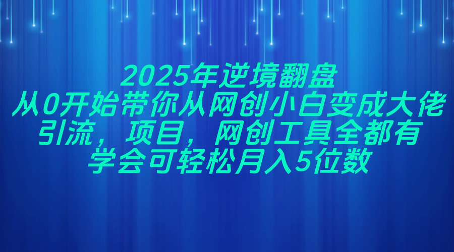 2025年逆境翻盘，从0开始带你从网创小白变成大佬，引流，项目，网创工…-Zv头条