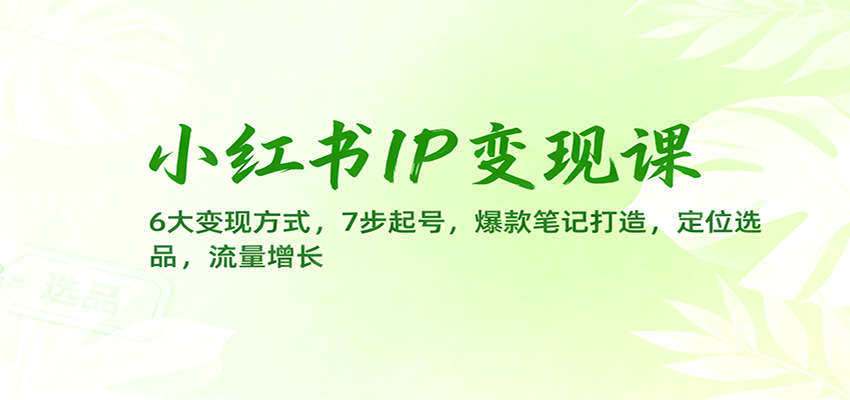 小红书IP变现课：6大变现方式，7步起号，爆款笔记打造，定位选品，流量增长-站长V课