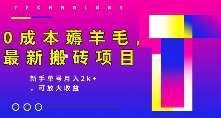 0成本薅羊毛，最新搬砖项目，新手单号月入2k+，可放大操作-Zv头条