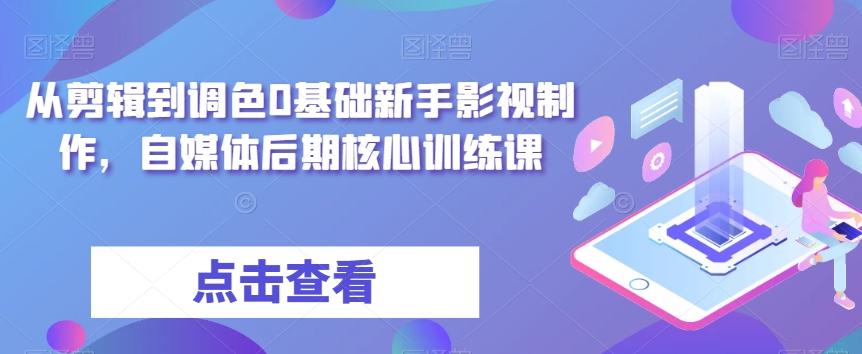 从剪辑到调色0基础新手影视制作，自媒体后期核心训练课-Zv头条