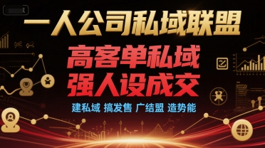 一人公司私域联盟，高客单私域，强人设成交，建私域 搞发售 广结盟 造势能-Zv头条