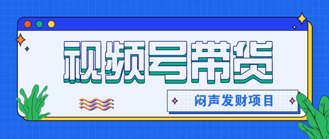 微信视频号带货项目，轻松日赚赚2000+，这个挣钱入口很多伙伴都在闷声发财-站长V课