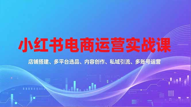 小红书电商运营实战课，店铺搭建、多平台选品、内容创作、私域引流、多账号运营等玩法-站长V课