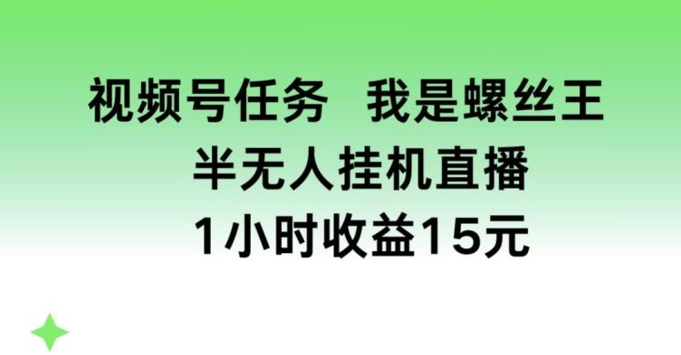 视频号任务，我是螺丝王， 半无人挂机1小时收益15元【揭秘】-Zv头条