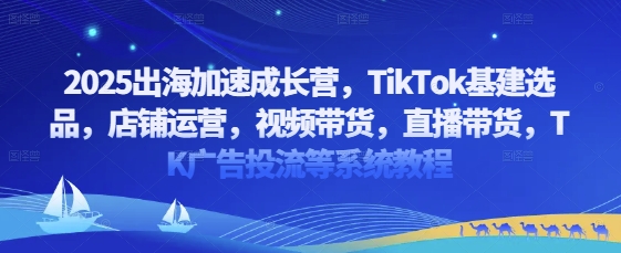 2025出海加速成长营，TikTok基建选品，店铺运营，视频带货，直播带货，TK广告投流等系统教程-Zv头条