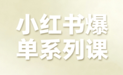 小红书爆单系列课，聚焦小红书电商全链路增长(更新)-站长V课