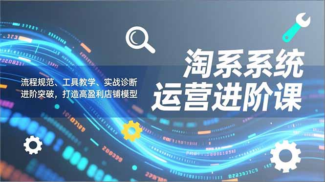 淘系系统运营进阶课2.0，流程规范、工具教学、实战诊断，进阶突破，打造高盈利店铺模型-站长V课