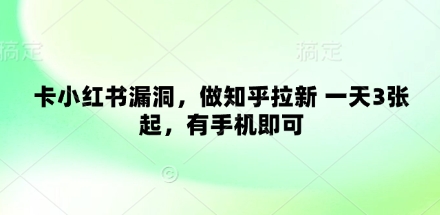 卡小红书漏洞，做知乎拉新 一天3张起，有手机即可-Zv头条