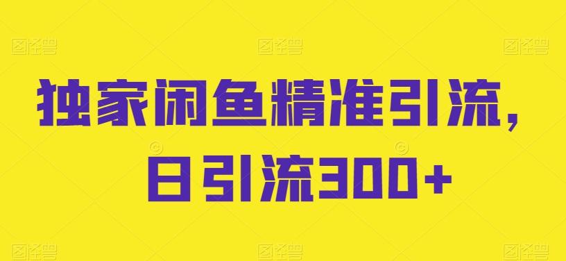 独家闲鱼精准引流，日引流300+【揭秘】-Zv头条