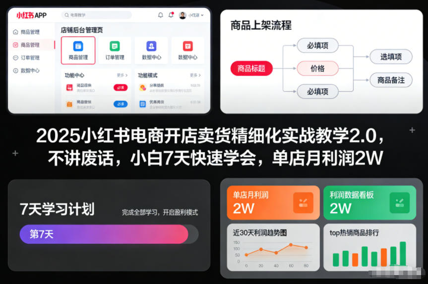 2025小红书电商开店卖货精细化实战教学2.0,不讲废话,小白7天快速学会,单店月利润2W-站长V课