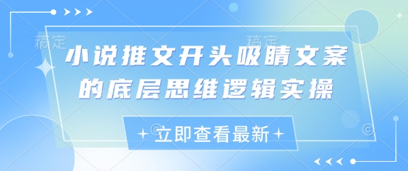 小说推文开头吸睛文案的底层思维逻辑实操-Zv头条