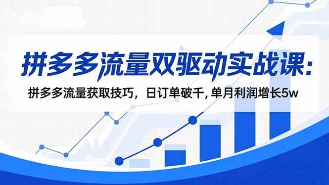 拼多多流量双驱动实战课：拼多多流量获取技巧，日订单破千,单月利润增长5w-站长V课