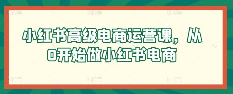 小红书高级电商运营课，从0开始做小红书电商-Zv头条