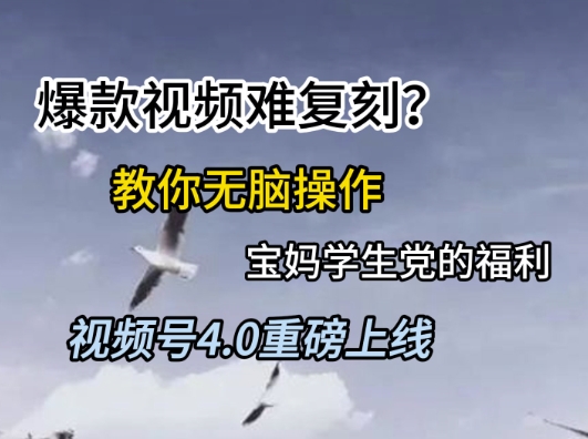 视频号4.0重磅上线，爆款视频难复刻？教你无脑操作宝妈学生党的福利【揭秘】-Zv头条