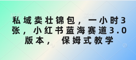 私域卖壮锦包，一小时3张，小红书蓝海赛道3.0版本， 保姆式教学-Zv头条