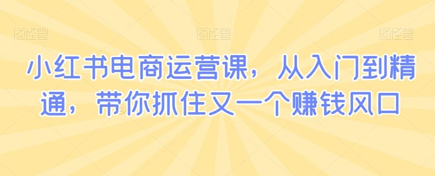 小红书电商运营课，从入门到精通，带你抓住又一个赚钱风口-Zv头条