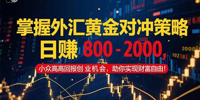 掌握外汇黄金对冲策略，日赚 800 – 2000，小众高回报创业机会，助你实…-Zv头条