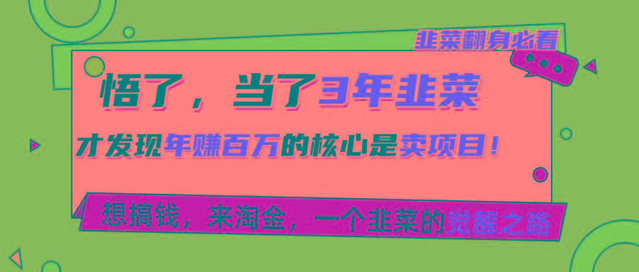 悟了，当了3年韭菜，才发现网赚圈年赚100万的核心是卖项目，含泪分享！-Zv头条