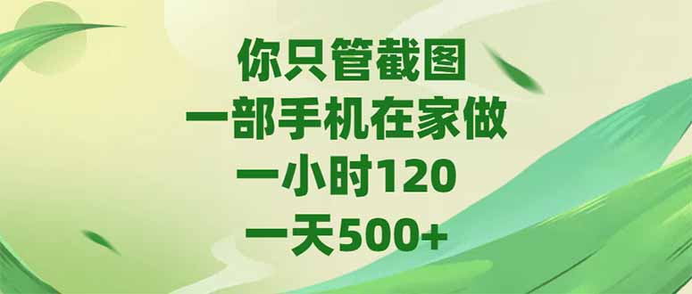 你只管截图，一部手机在家做，一小时120，-天500+-Zv头条