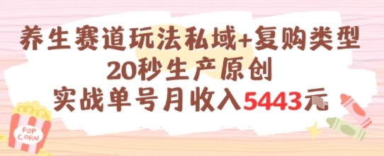 养生赛道玩法私域+复购类型，20秒生产原创实战单号月收入5k+-Zv头条