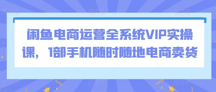 闲鱼电商运营全系统VIP实操课，1部手机随时随地电商卖货-Zv头条