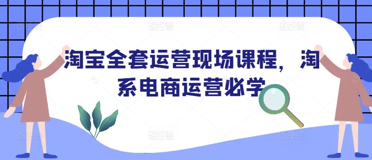 淘宝全套运营现场课程，淘系电商运营必学-Zv头条