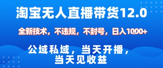 淘宝无人直播12.0，公域私域技术，不封号，不违规布局双十一流量风口，日入1k(独家技术)【揭秘】-站长V课