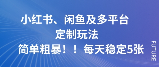 小红书、闲鱼及多平台定制玩法简单粗暴！每天稳定5张-站长V课