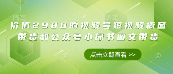 价值2980的视频号短视频橱窗带货和公众号小绿书图文带货-Zv头条
