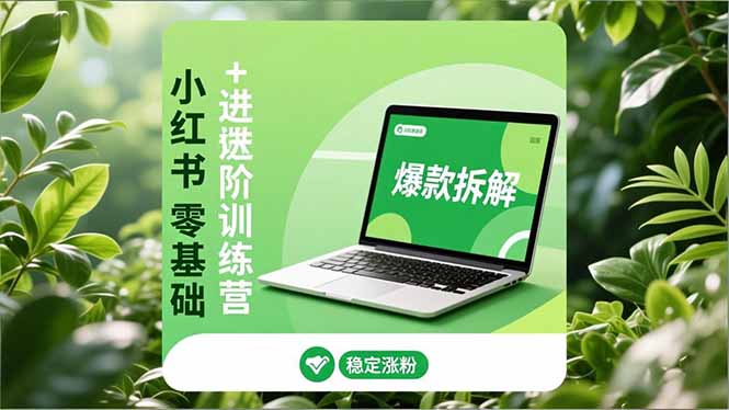 小红书零基础+高阶训练营:安全养号、爆款拆解、长效运营,实现稳定涨粉与变现-站长V课
