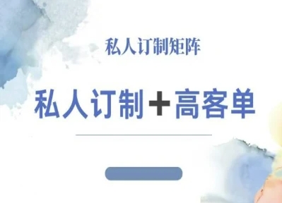 小红书自媒体咨询师IP教程，私人定制+高客单-站长V课