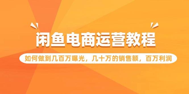 (9560期)闲鱼电商运营教程：如何做到几百万曝光，几十万的销售额，百万利润-Zv头条