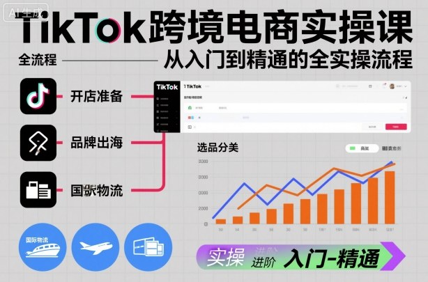 TikTok跨境电商实操课，从入门到精通的全实操流程-站长V课
