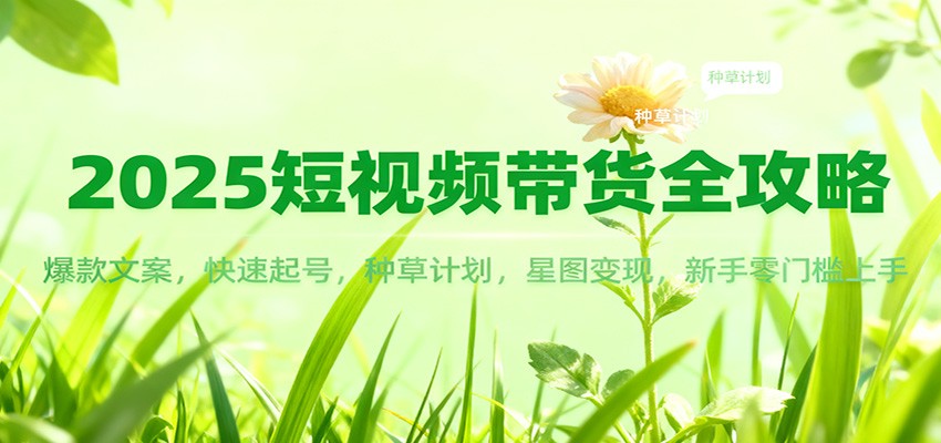 2025短视频带货全攻略：爆款文案，快速起号，种草计划，星图变现，新手零门槛上手-站长V课